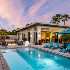 Flamingo Oasis