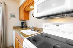 Mountain Shadows Condo