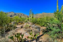 Ventana Canyon Retreat