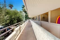 Palm Springs Boho Bliss