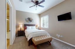 Dove Mountain Dream