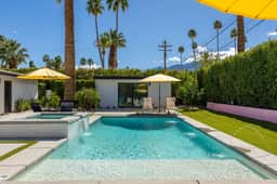 Surrounded by Palms