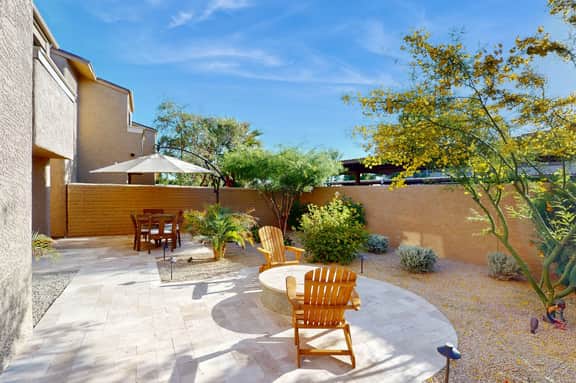 Sonoran Starlight