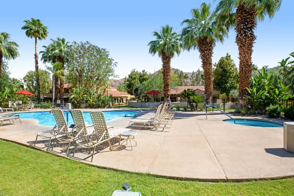 Palm Garden - 58778