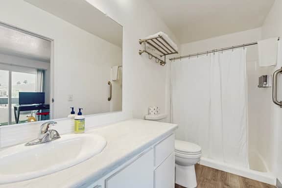 Peaceful Paradise on Palm Canyon Drive - 4852