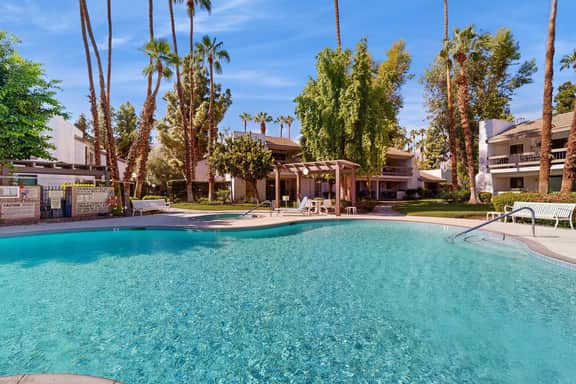 Palm Canyon Breeze  - 8292