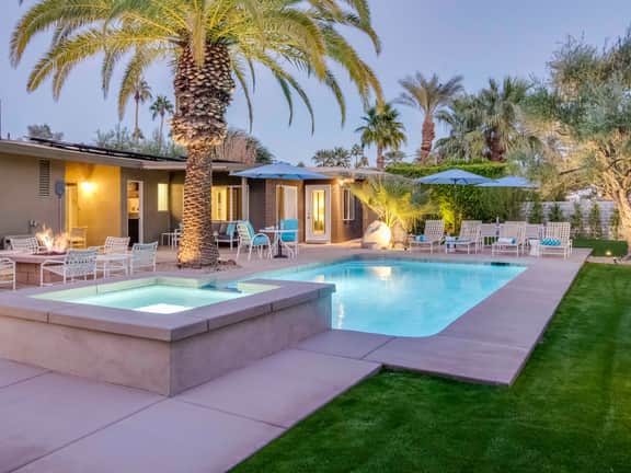 Canary Palms