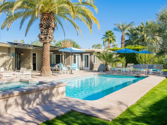 Canary Palms