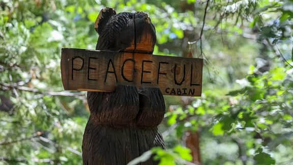 Peaceful Cabin - Image 3