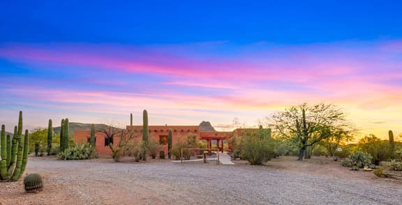 Cereus Vista