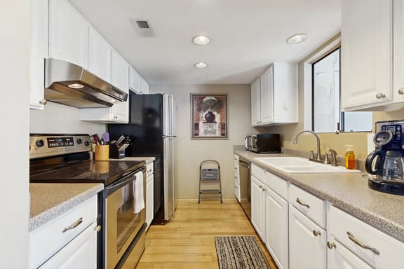 Palm Canyon Breeze  - 8292