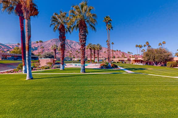 Paradise
