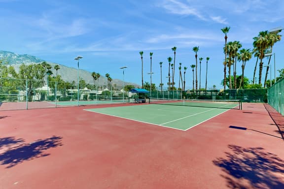 Desert Vista Oasis