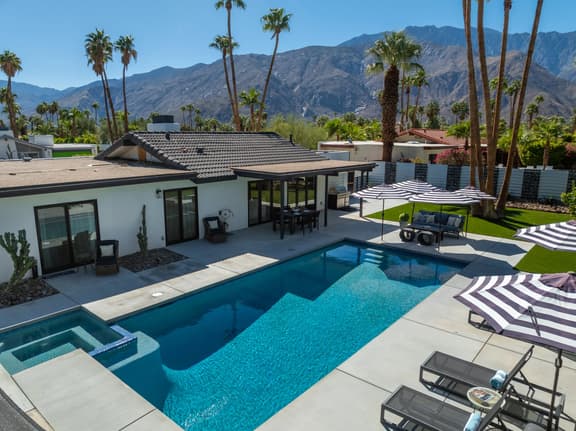 Alluring Palms