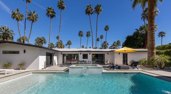 Surrounded by Palms